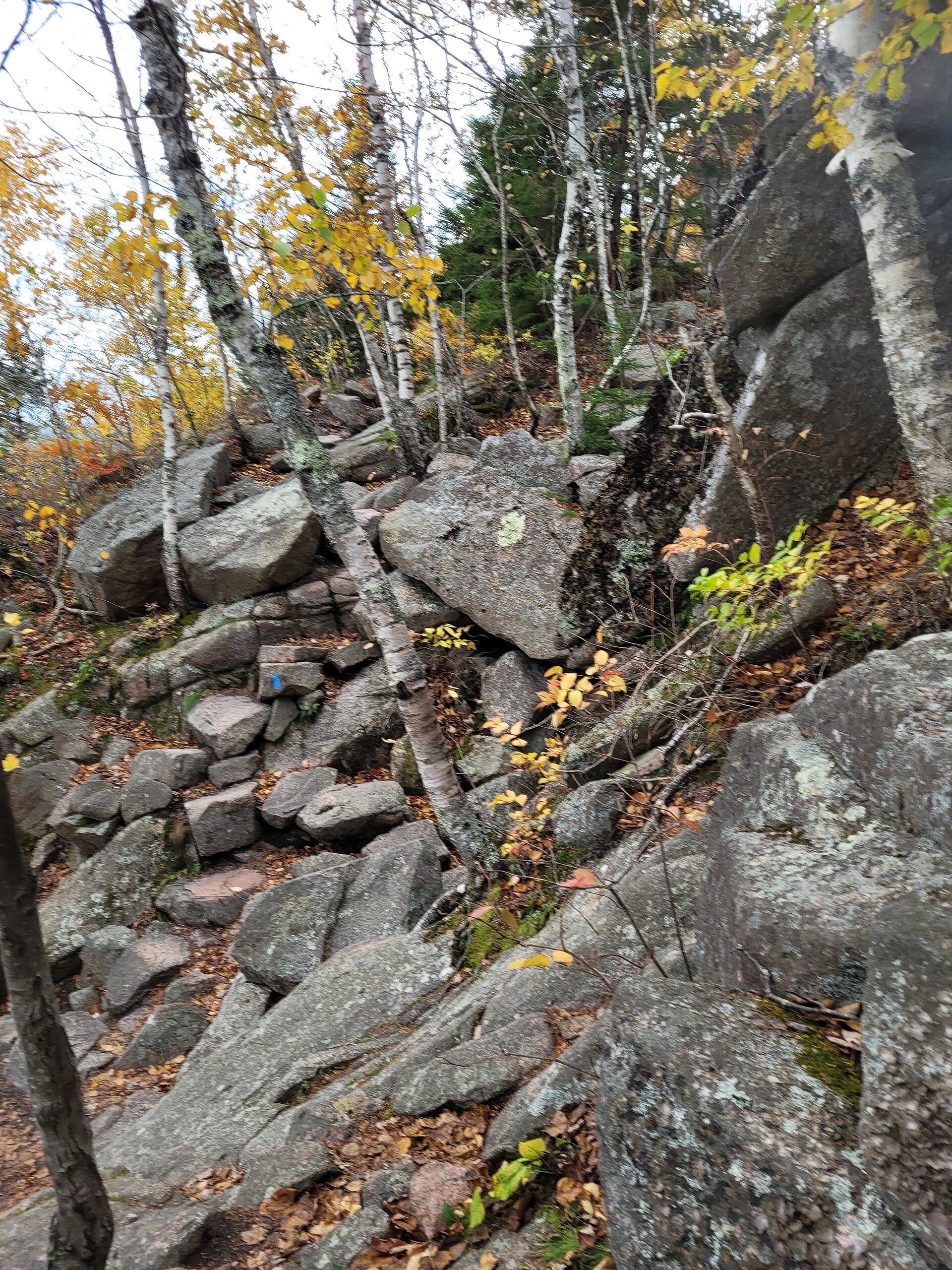 Iron rungs on the Precipice Trail, Acadia