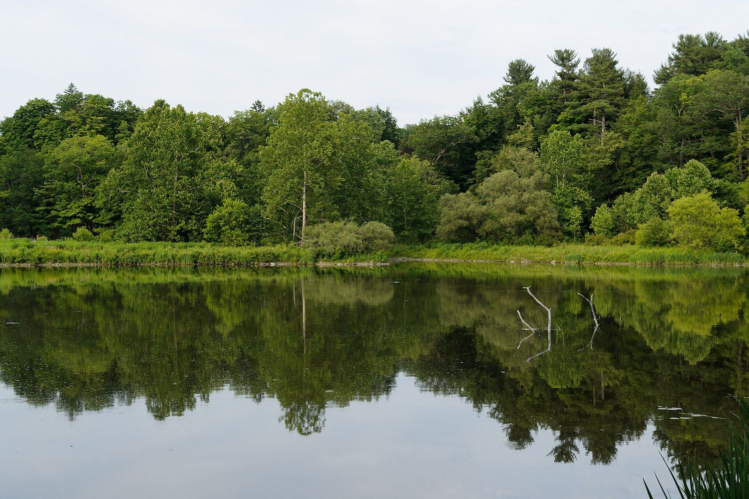 Beebe Lake on Cornell's campus