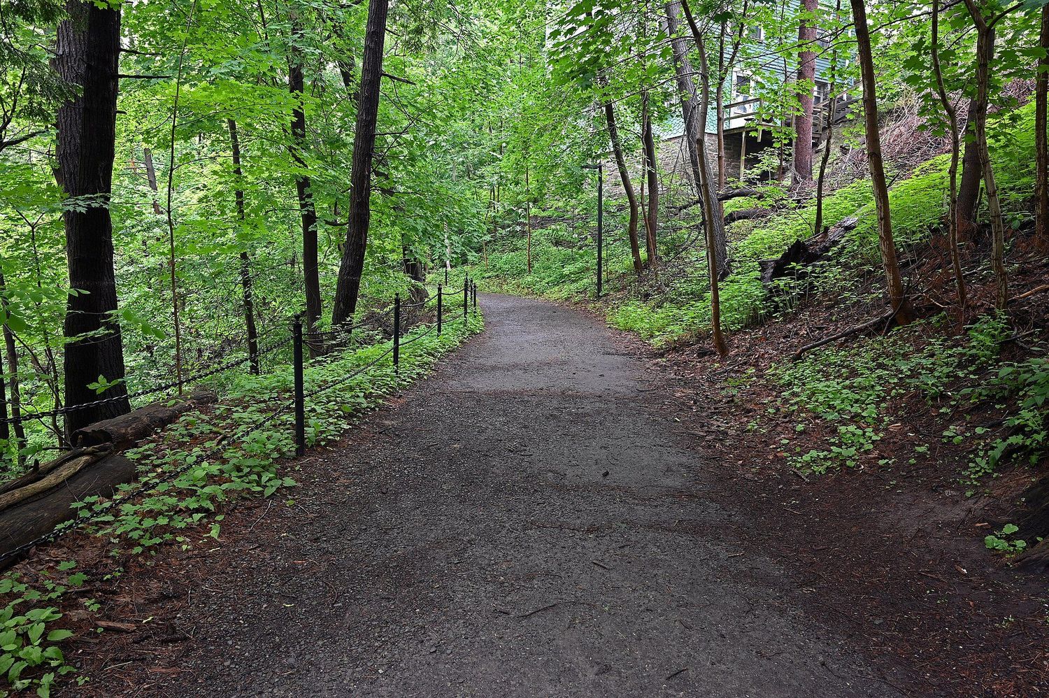 Waterfall and stone staircase on the Cascadilla Gorge Trail