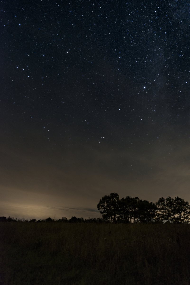 Stars over the open grass of Big Meadows at night, tree silhouettes on the horizon and a faint warm glow of distant city light low in the sky