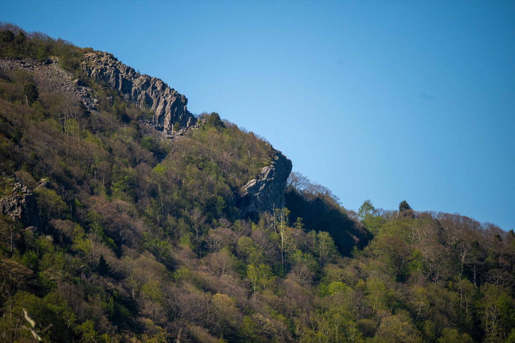 The greenstone cliff face of Stony Man Mountain rising above green forest under a clear blue sky in Shenandoah National Park
