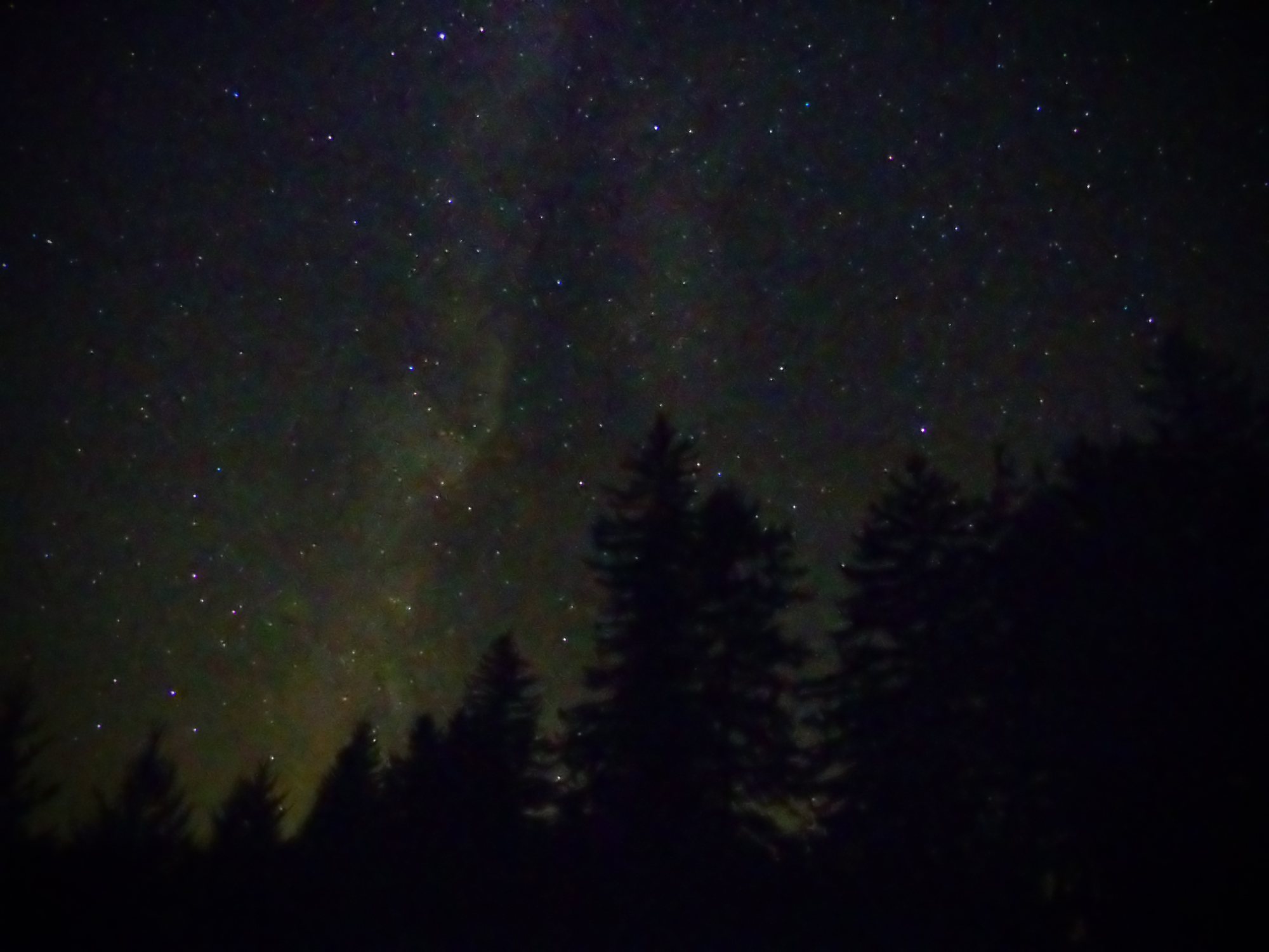 The Milky Way over pine silhouettes at Cherry Springs, Susquehannock State Forest